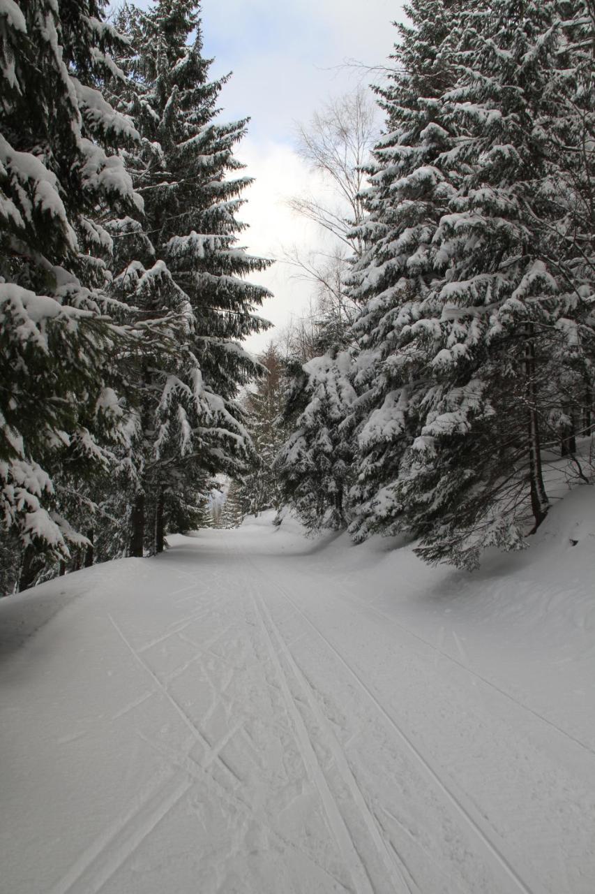 Hotel Hromovka Špindlerŭv Mlýn Luaran gambar